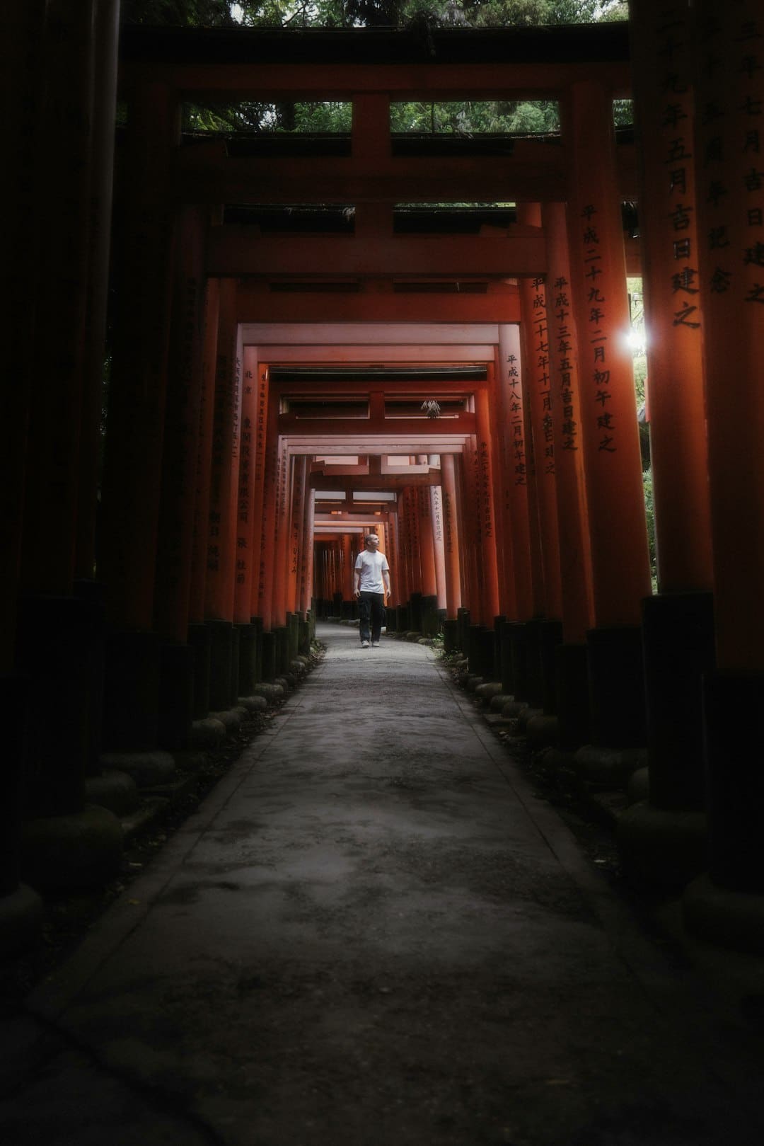 儿童火车票收费标准2025 儿童火车票新规